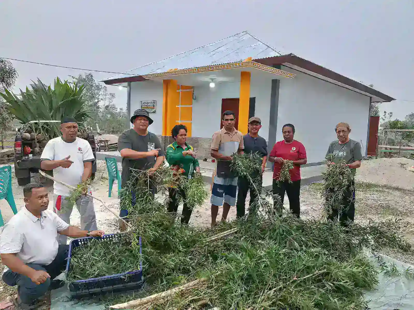 Dari 20 Hektare Kebun, Bomberay Bersiap Lahirkan Minyak Kayu Putih Karya Mandiri